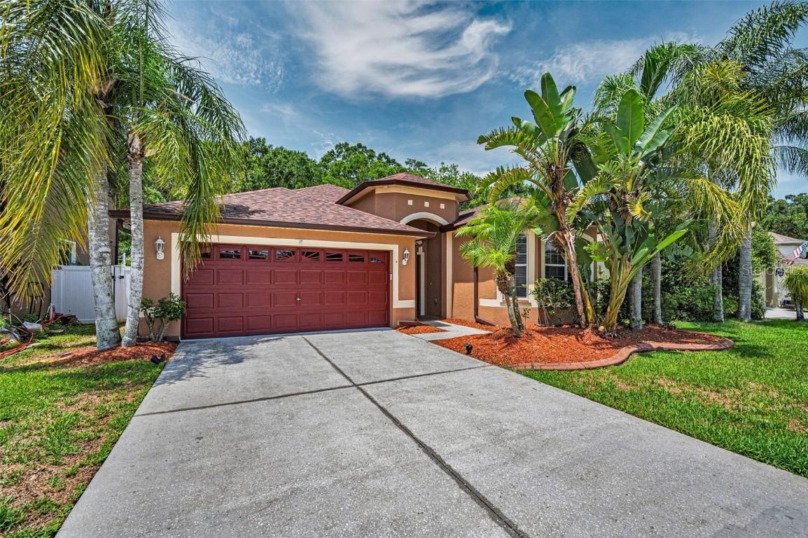 15762 Cedar Elm Terrace Ter., Land O Lakes, FL 34638