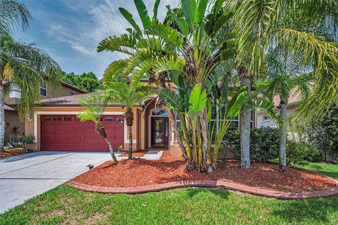15762 Cedar Elm Terrace Ter., Land O Lakes, FL 34638