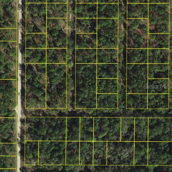 Lot #18,19 and 20 SW 20th Ln., Ocala, FL 34481