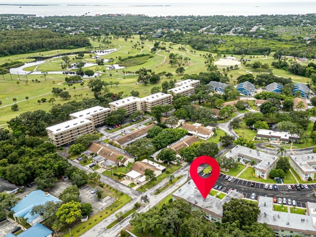 1250 S Pinellas Ave. #207, Tarpon Springs, FL 34689