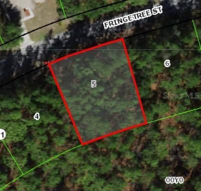37 Fringetree St., Homosassa, FL 34446