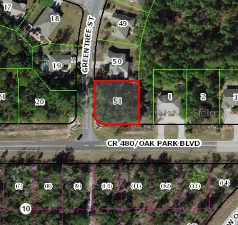 6797 W Oak Park Ln., Homosassa, FL 34446