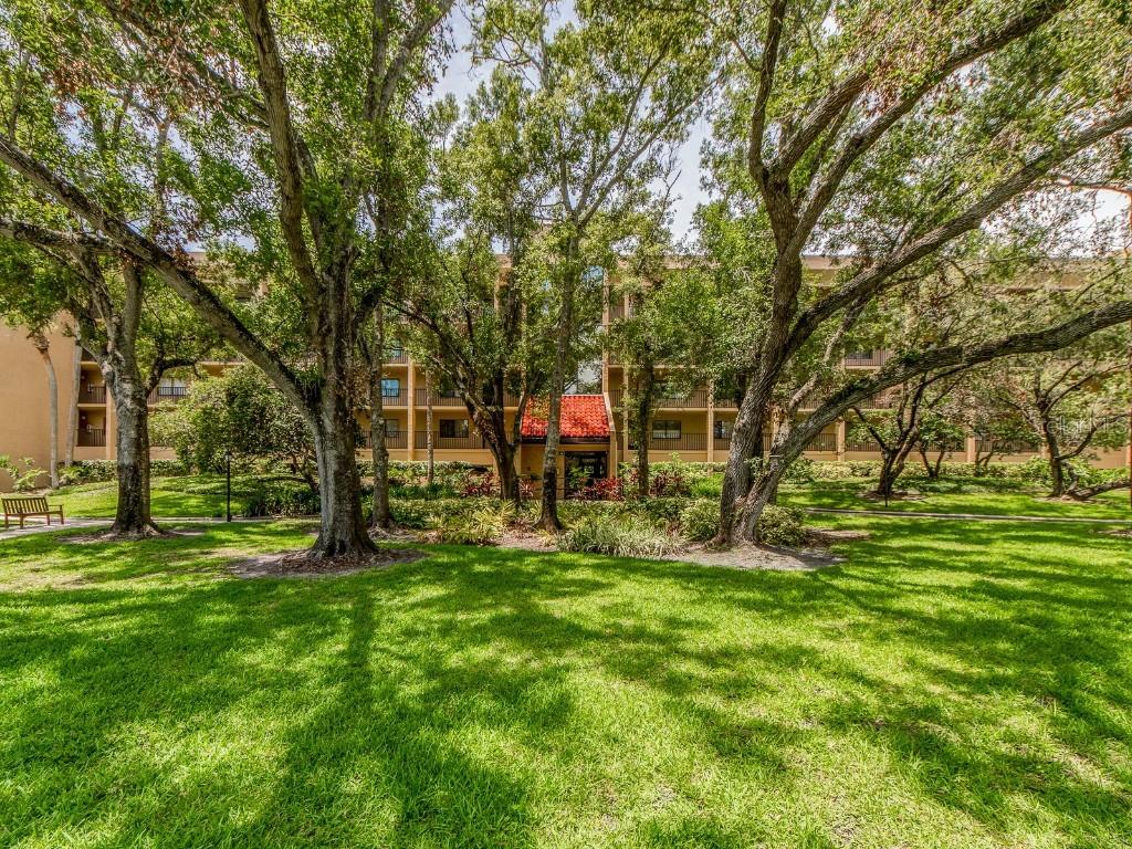 3078 Eastland Blvd. #205, Clearwater, FL 33761