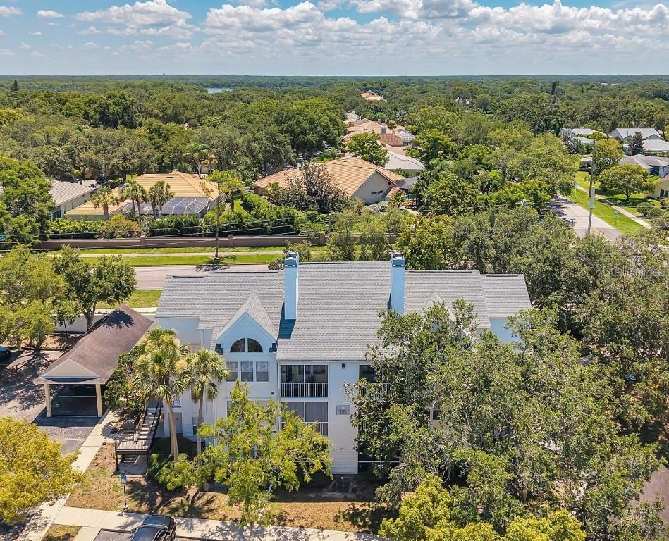 3301 Haviland Ct Ct. #301, Palm Harbor, FL 34684