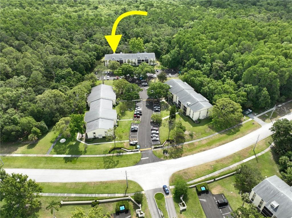 3232 Lake Pine Way #A2, Tarpon Springs, FL 34688