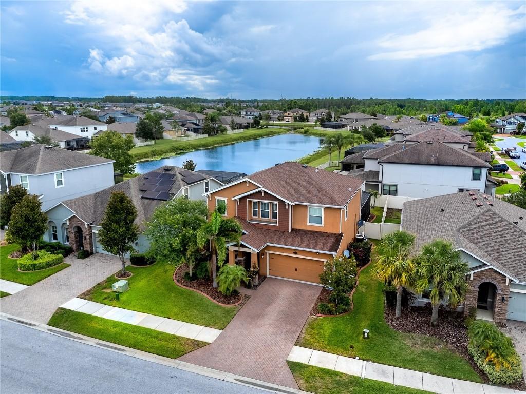 1601 Fox Grape Loop, Lutz, FL 33558
