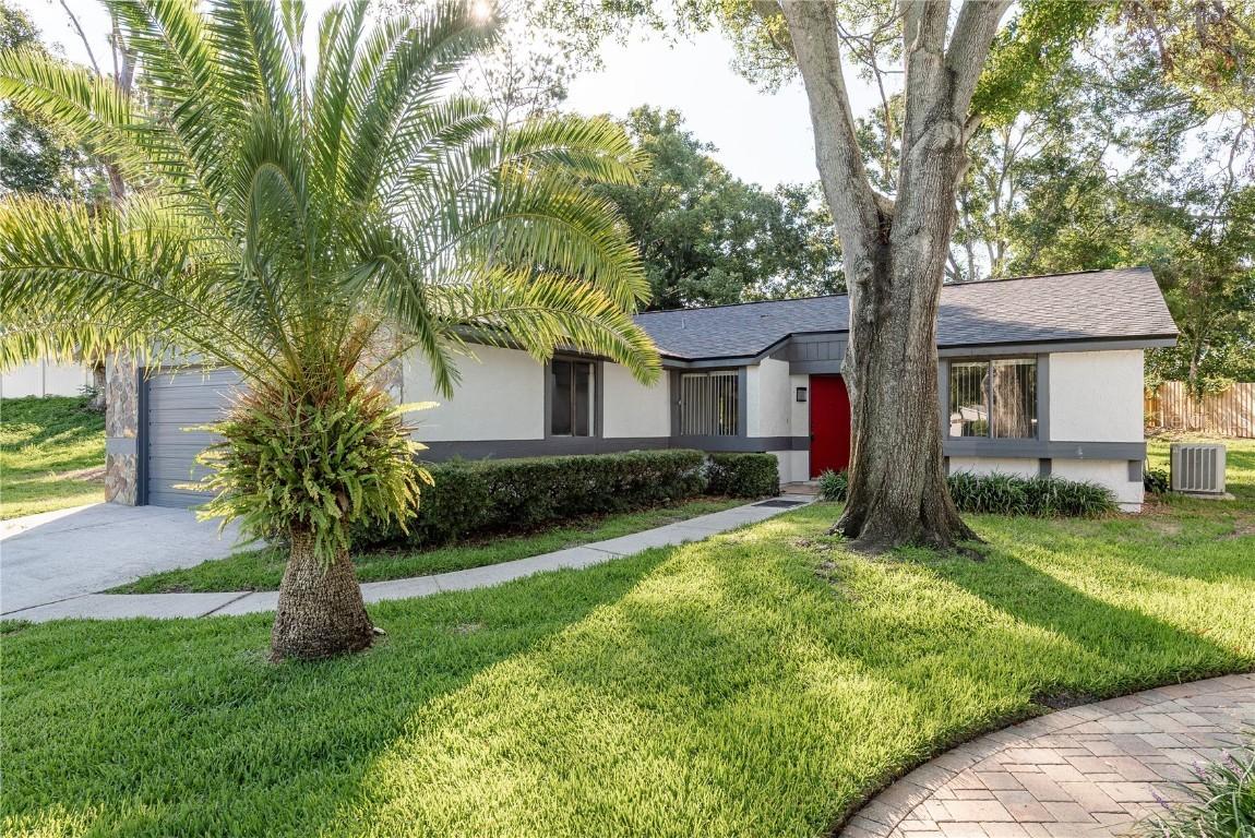 399 Walnut Ct., Palm Harbor, FL 34683