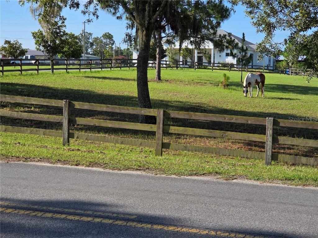 28410 Wildlife Ln., Brooksville, FL 34602