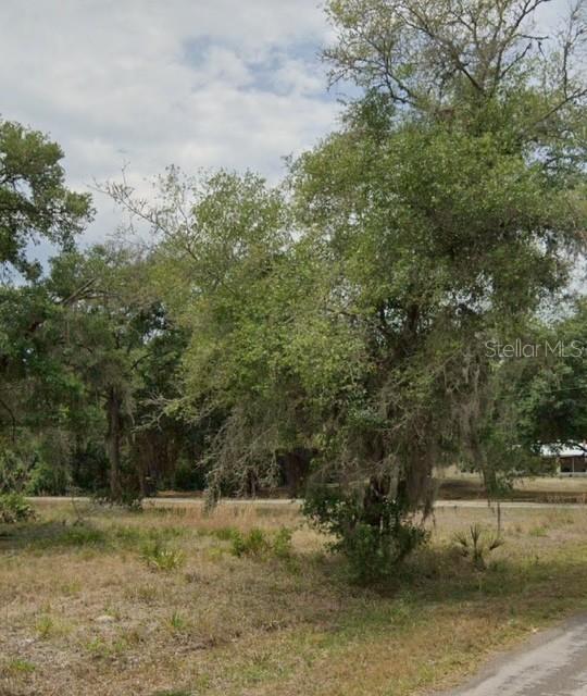 9379 N Bromeliad Ter., Crystal River, FL 34428