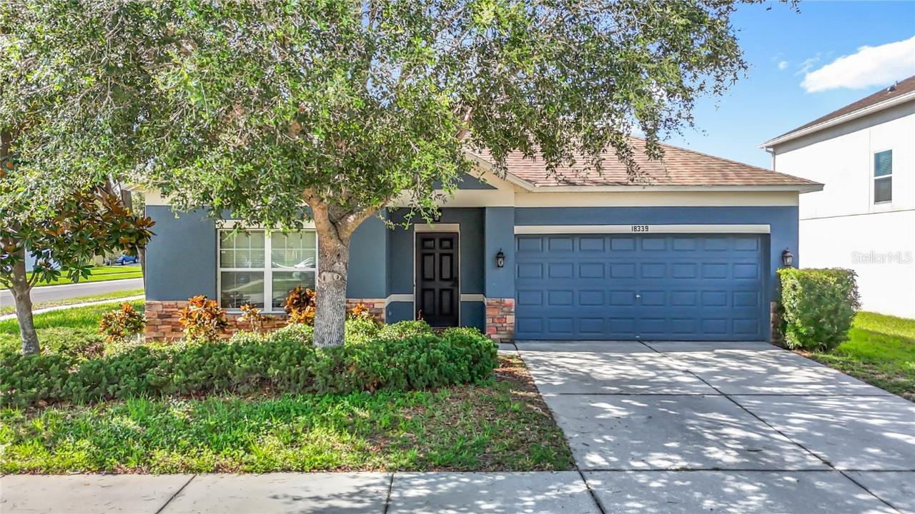 18339 Fish Loop, Land O Lakes, FL 34638