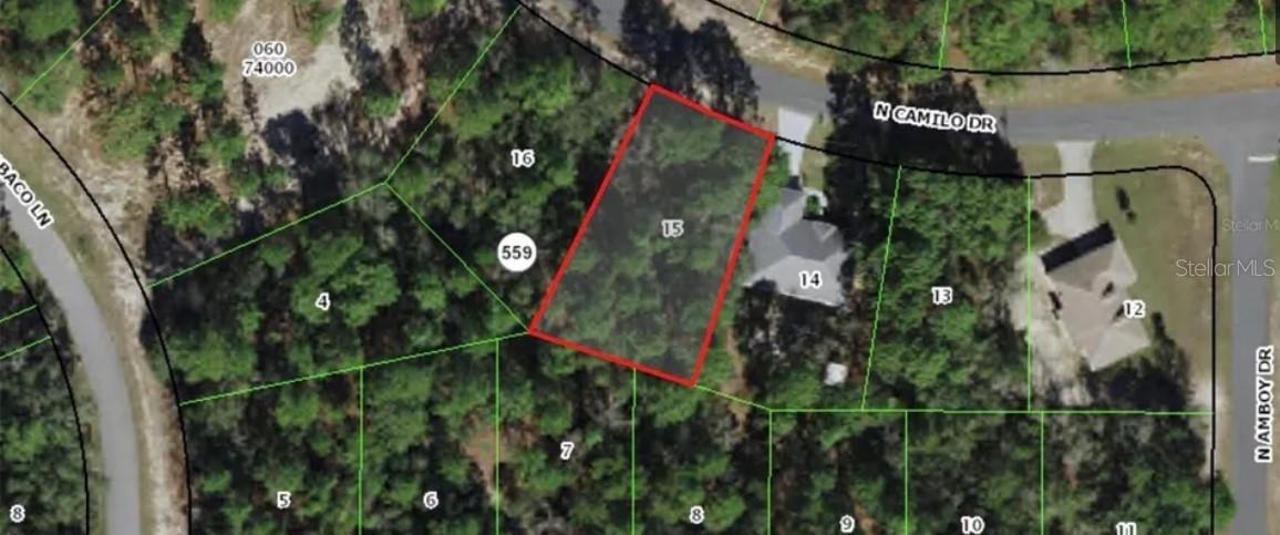 3228 W Camilo Dr, Citrus Springs, FL 34433
