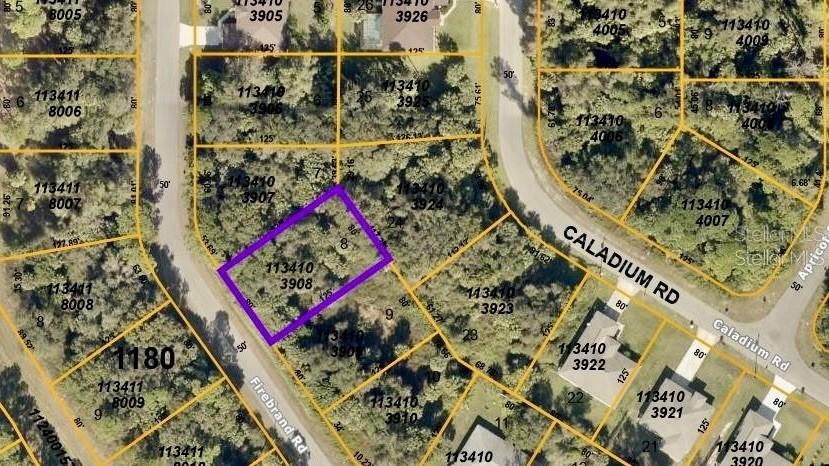 Firebrand Rd., North Port, FL 34288