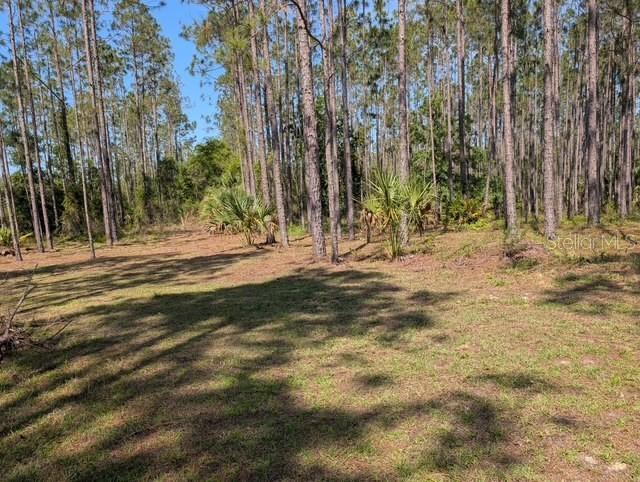 540 SW 326th Ave., Steinhatchee, FL 32359