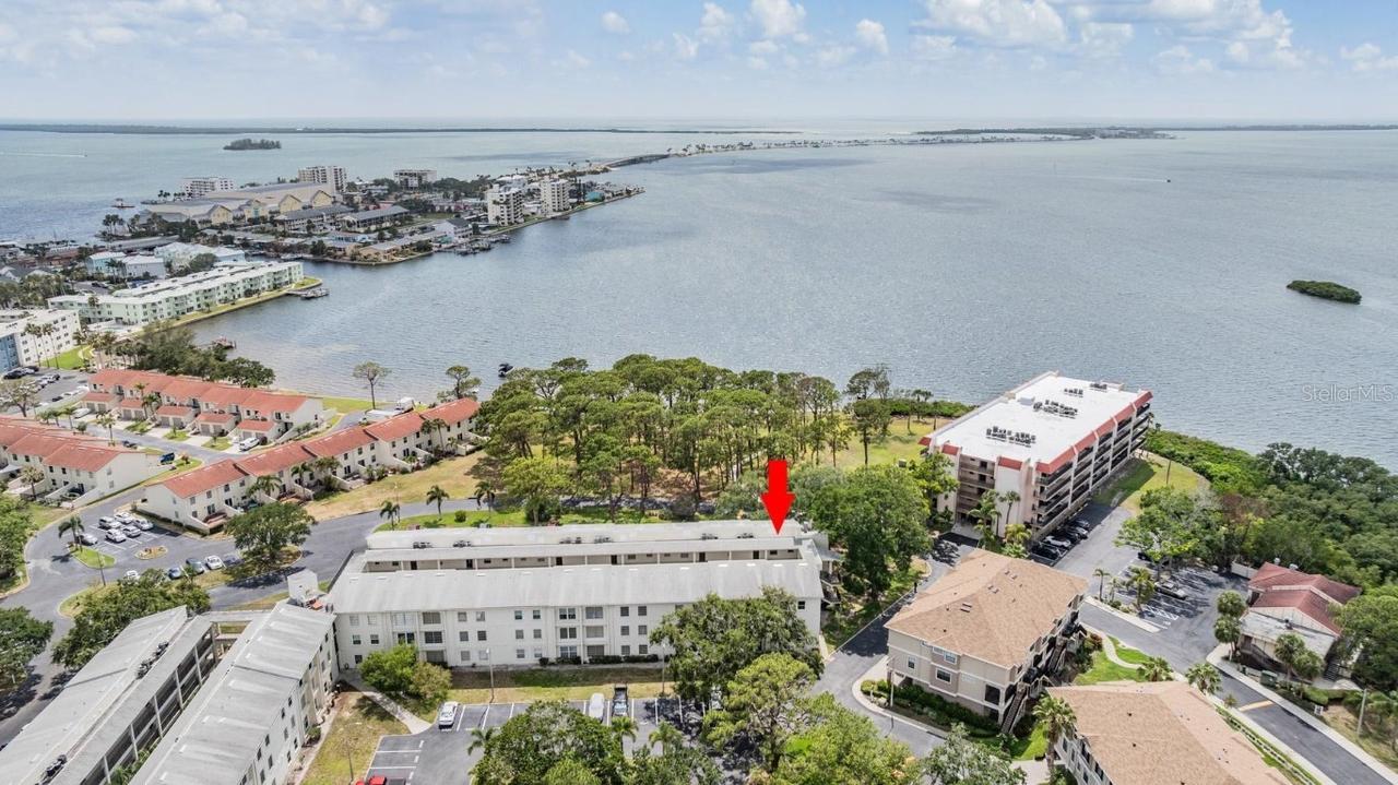 2700 Bayshore Blvd. #6210, Dunedin, FL 34698
