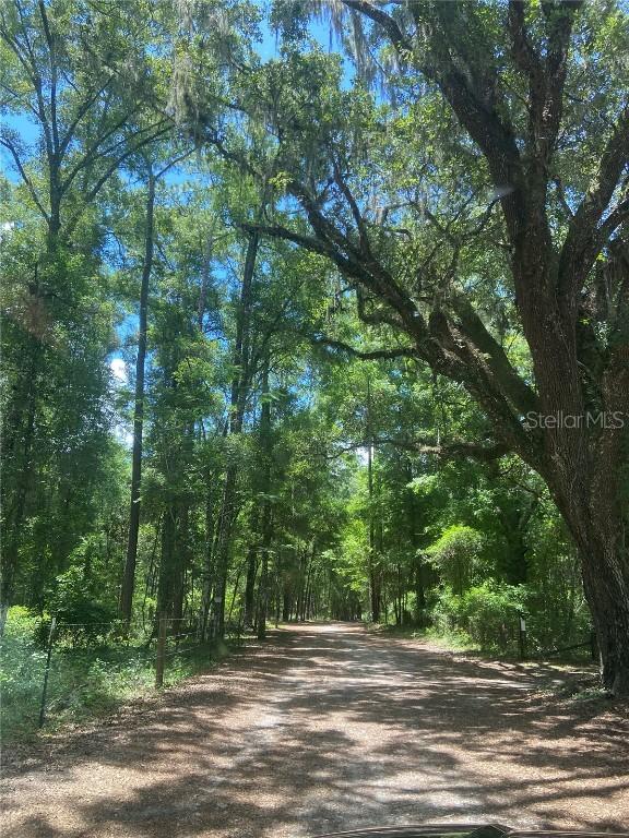 NE 166th Ave., Williston, FL 32696