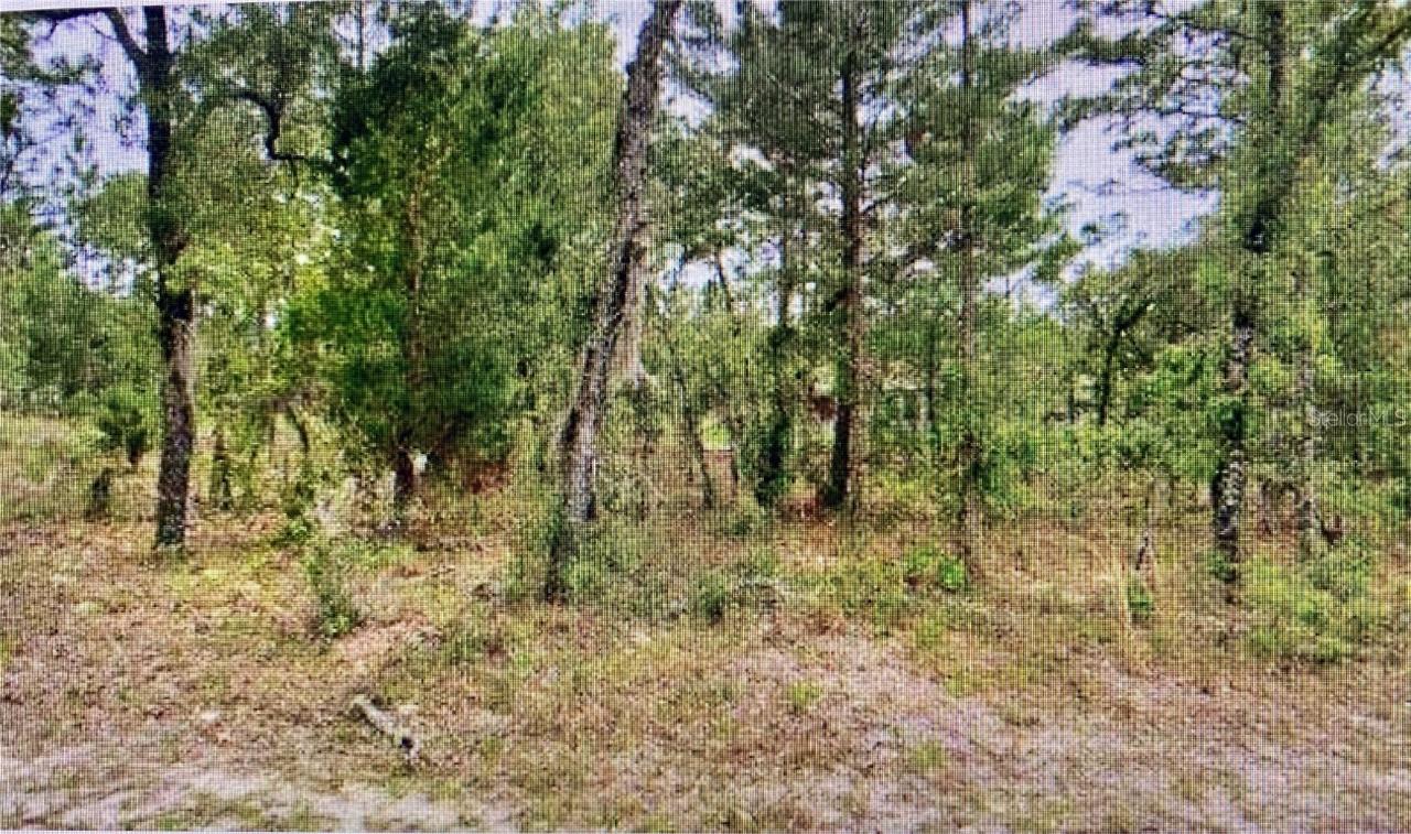 2842 W Leeward Pl., Citrus Springs, FL 34433