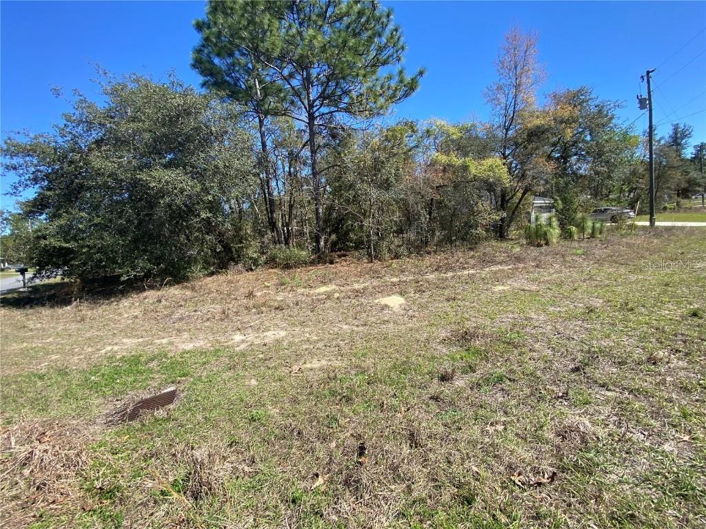 7209 N Galt Point, Citrus Springs, FL 34434