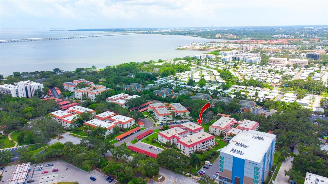 2623 Seville Blvd. #203, Clearwater, FL 33764