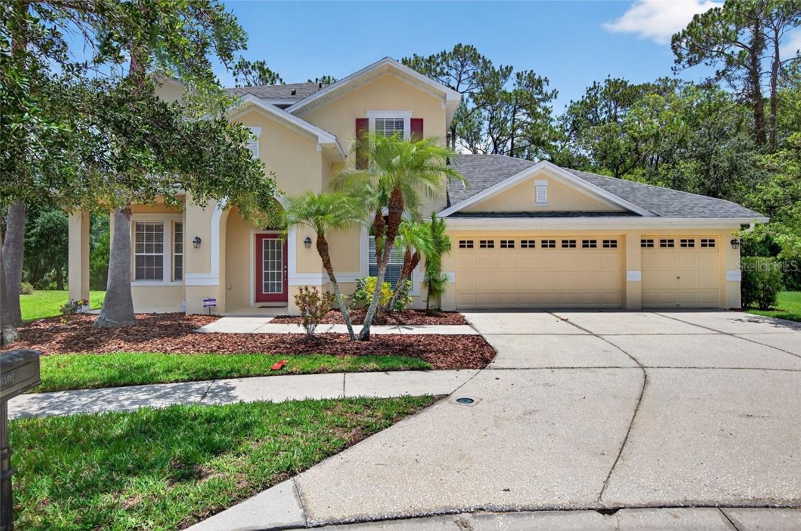 16102 Colchester Palms Dr., Tampa, FL 33647