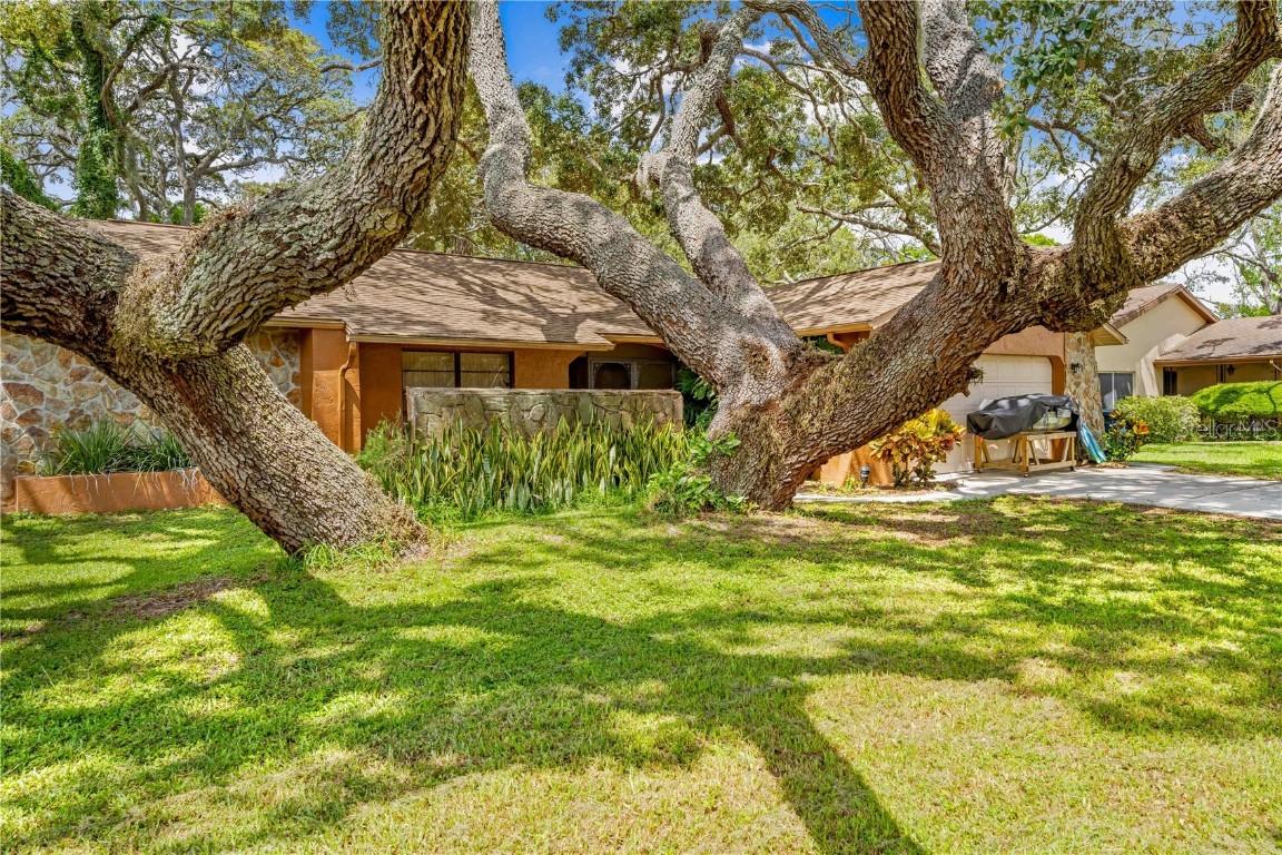 8268 Garrison St., Spring Hill, FL 34606