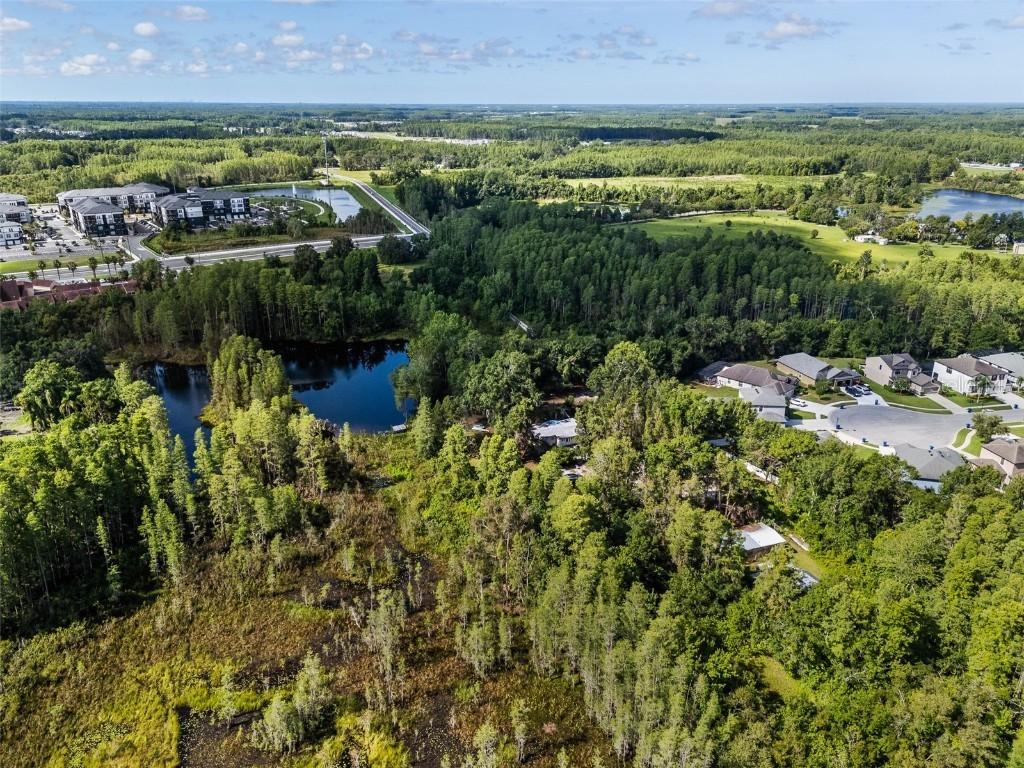 20007 Betel Palm Ln., Land O Lakes, FL 34638
