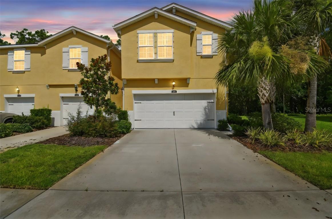 17880 Althea Blue Pl., Lutz, FL 33558