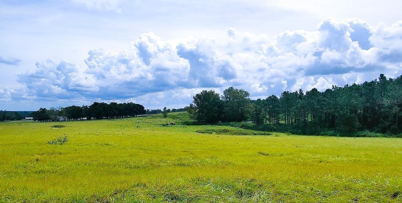 Hilltop Horizons Pl., Dade City, FL 33525