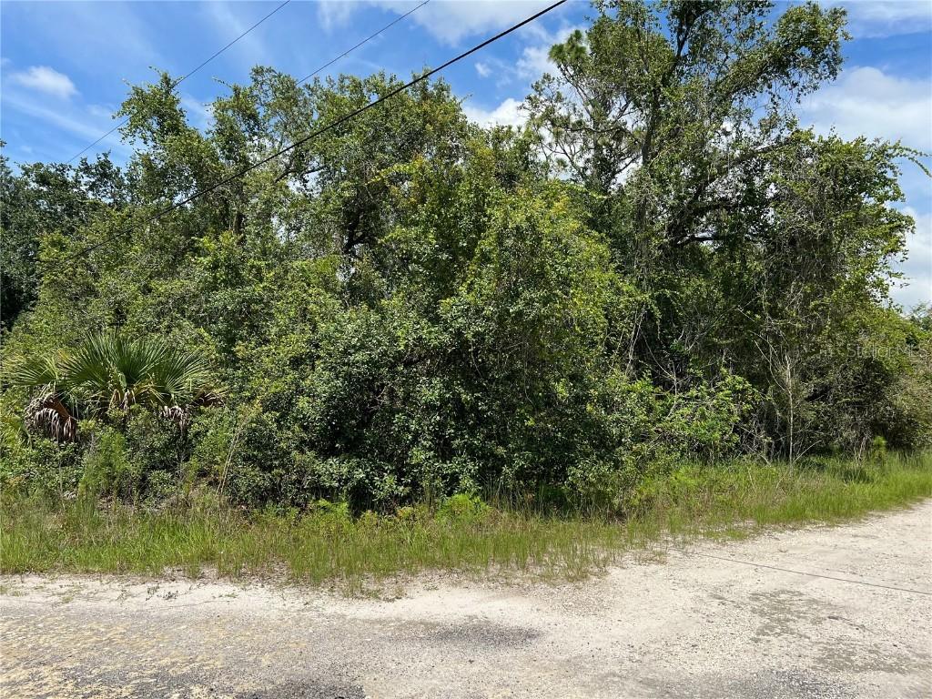 10232 Field St., New Port Richey, FL 34654