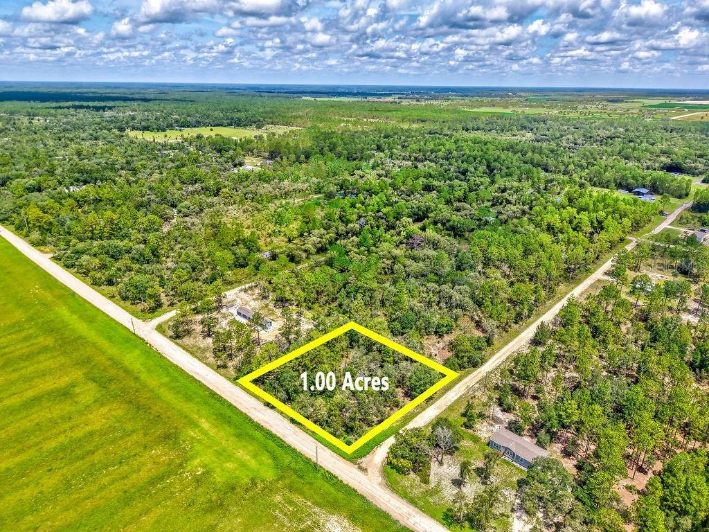 NE 10th St., Williston, FL 32696