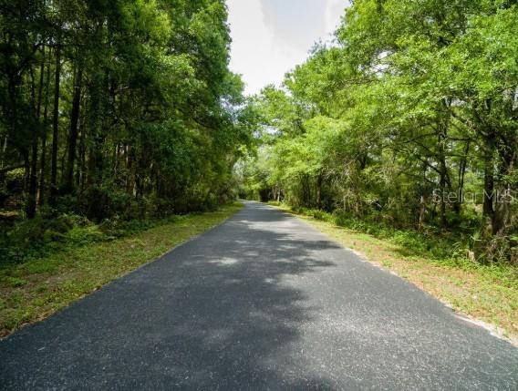 Avonwood St., Tampa, FL 33625