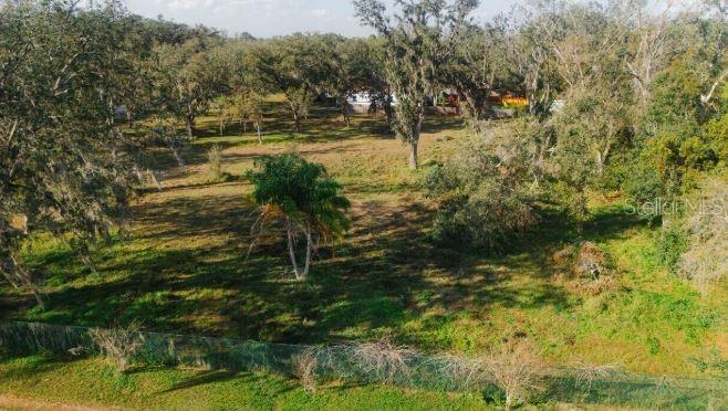 Avonwood St., Tampa, FL 33625