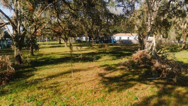 Avonwood St., Tampa, FL 33625