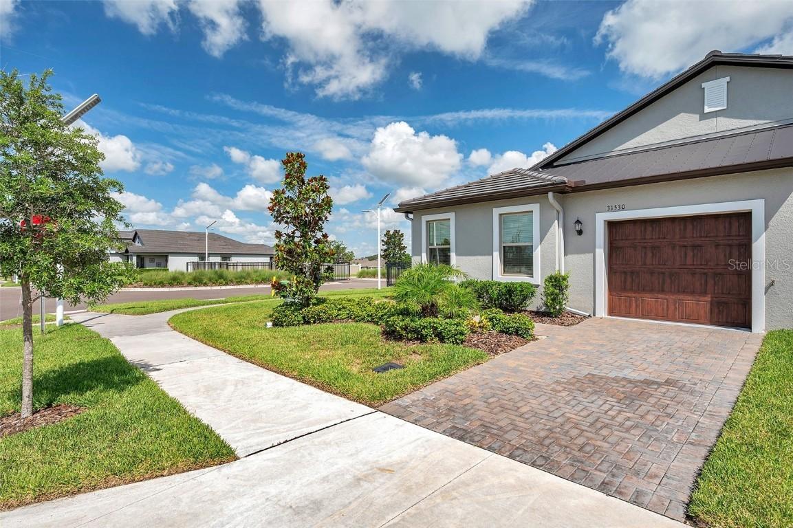 31530 Magna Gulf Loop, San Antonio, FL 33576
