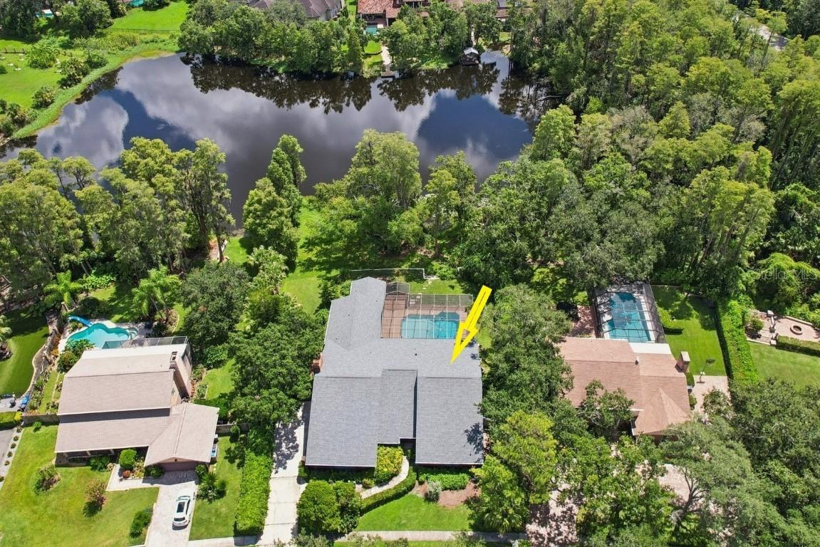 4128 Carrollwood Village Dr., Tampa, FL 33618