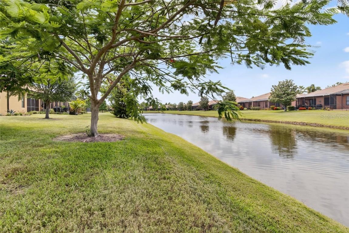 226 Shell Falls Dr., Apollo Beach, FL 33572