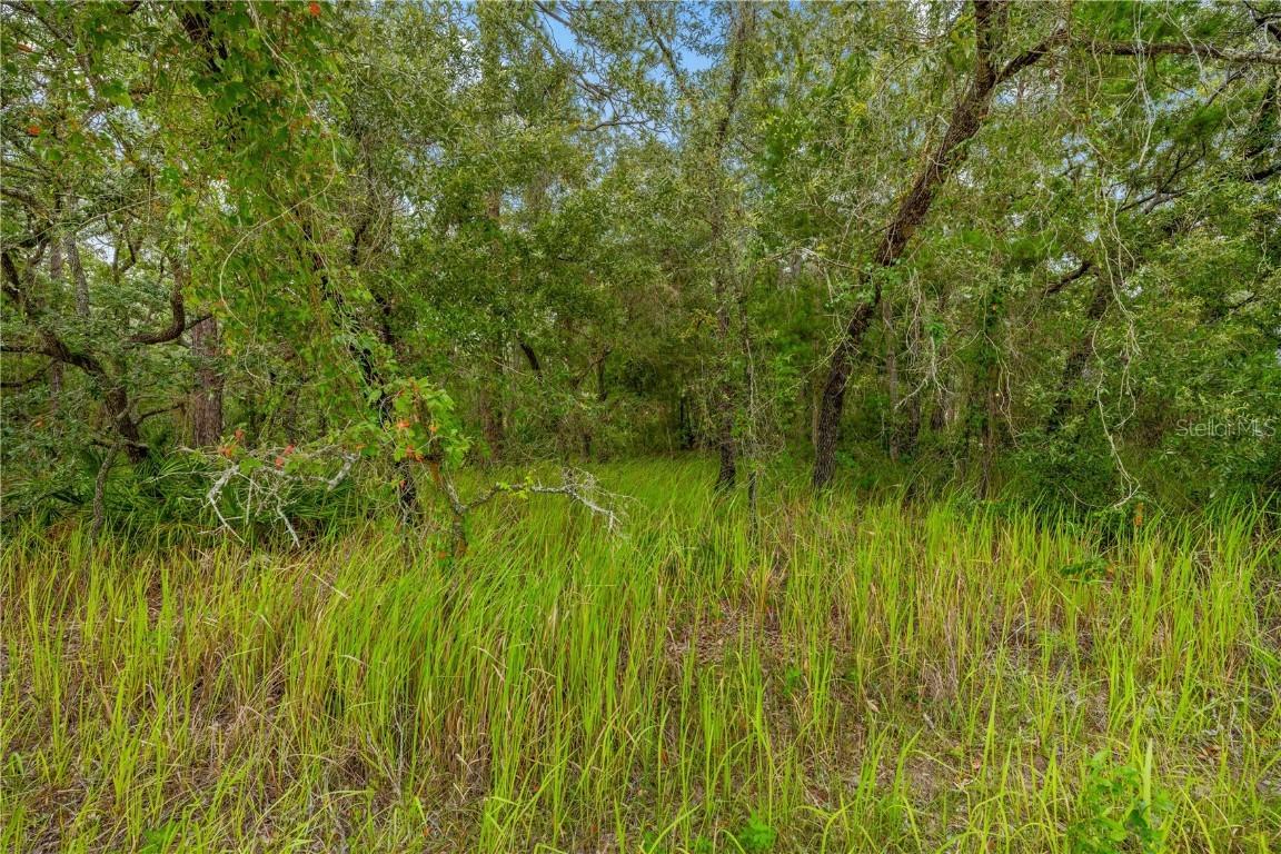 0000 Maybird Ave., Weeki Wachee, FL 34613