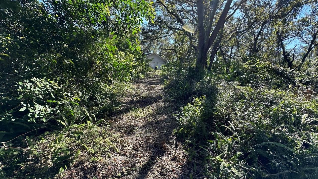 1676 Hermosa Dr., Palm Harbor, FL 34683