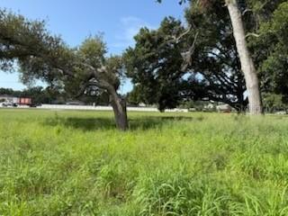 510 Calhoun Ave., Seffner, FL 33584