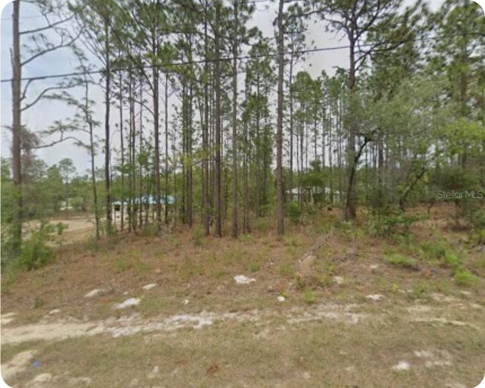 1561 W Gainsboro Ln., Citrus Springs, FL 34434