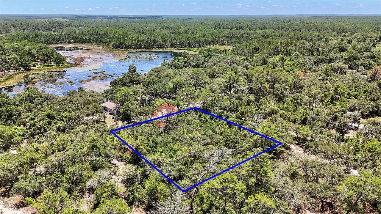 SE 197th Ave., Ocklawaha, FL 32179
