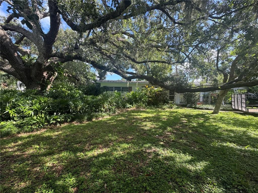 1505 N Oregon Cir., Tampa, FL 33612