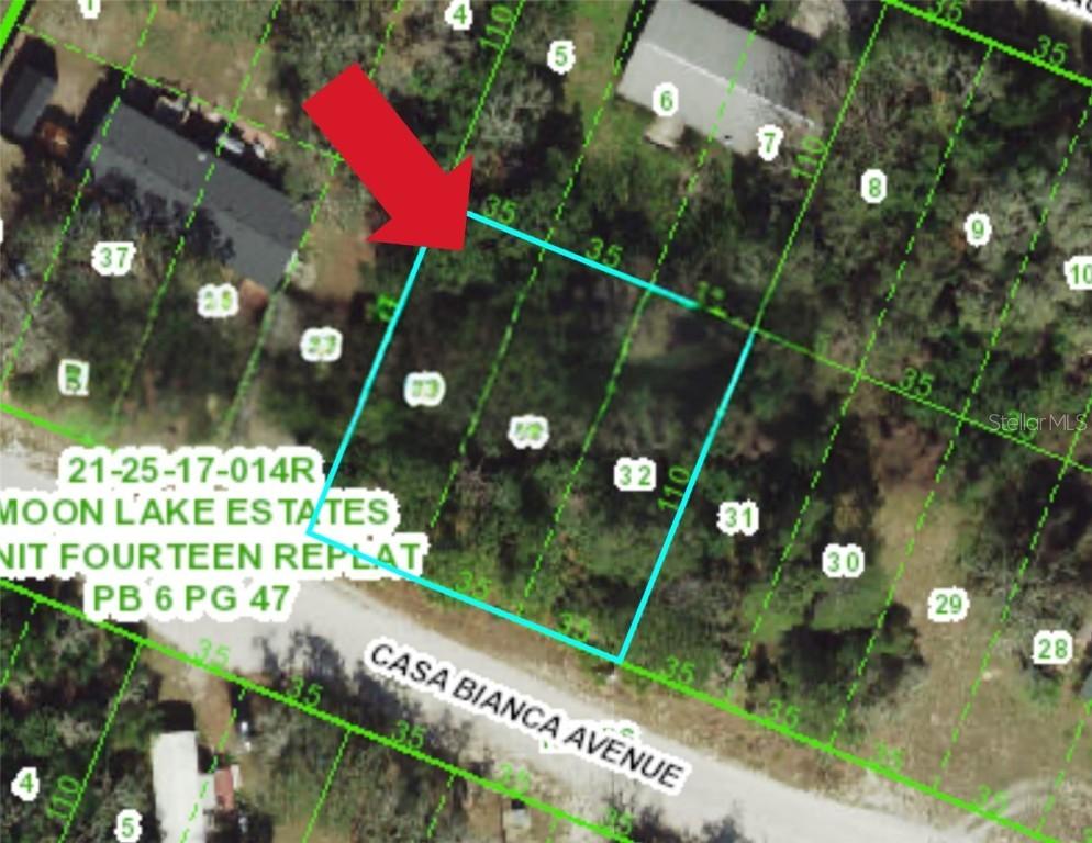 12905 Casa Bianca Ave., New Port Richey, FL 34654