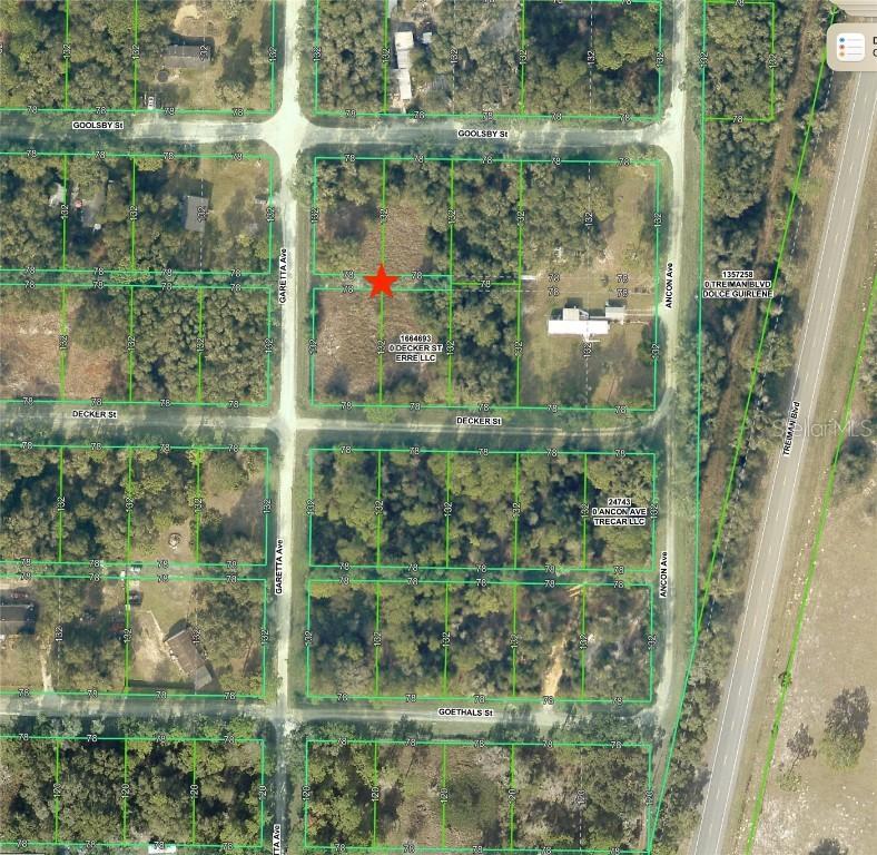 Goolsby St., Webster, FL 33597