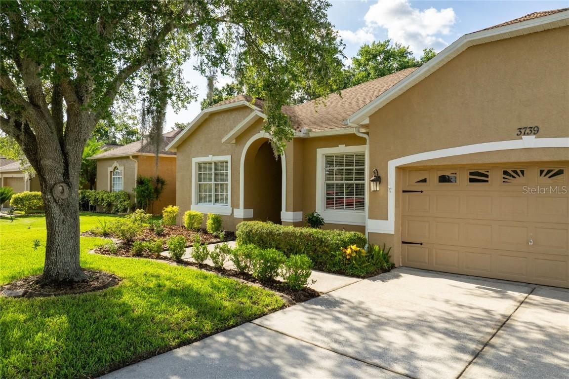 3739 Grand Forks Dr., Land O Lakes, FL 34639