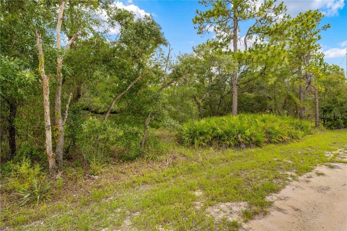 0000 Marsh Owl Ave., Weeki Wachee, FL 34614
