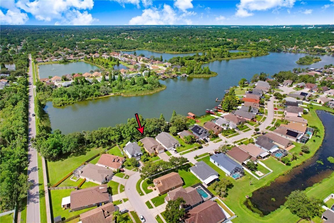 1260 Vinetree Dr., Brandon, FL 33510