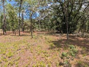 Lot 25 NW Ridgewood Rd., Dunnellon, FL 34431