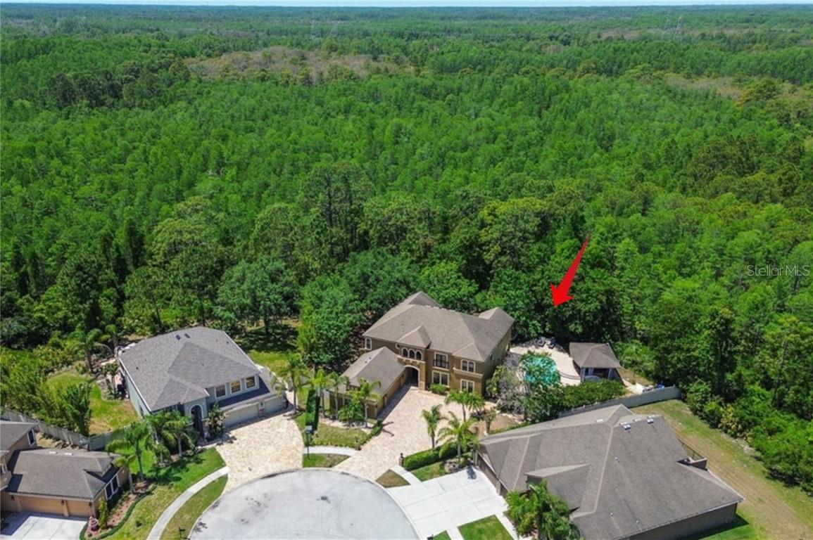 14809 Ninebark Ct., Land O Lakes, FL 34638