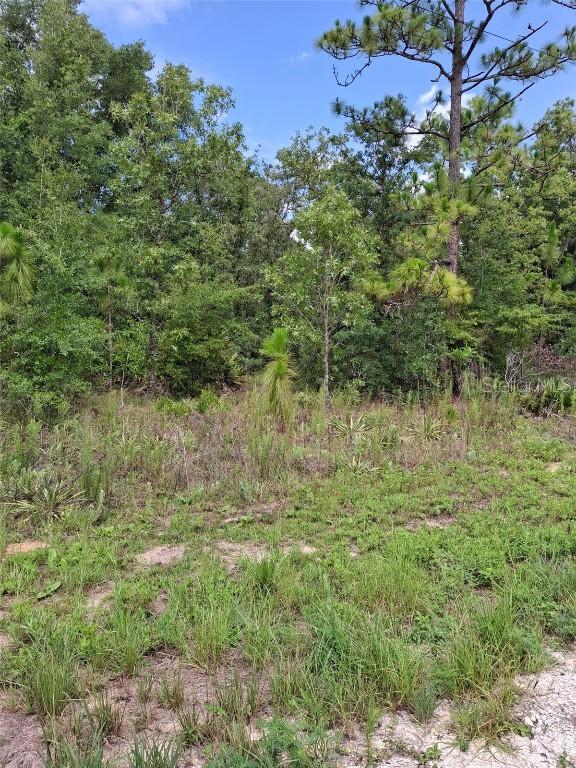 Lot 7 Crabapple Rd., Weeki Wachee, FL 34614