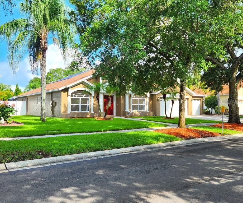15008 Arbor Hollow Dr., Odessa, FL 33556